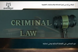 دور المحامي في القضايا الجنائية ومتى تحتاجه