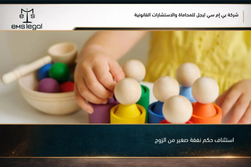 استئناف حكم نفقة صغير من الزوج