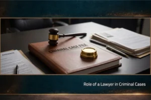 Role of a Lawyer in Criminal Cases